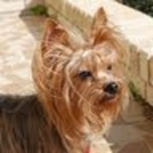 Meet your Posher, Jade